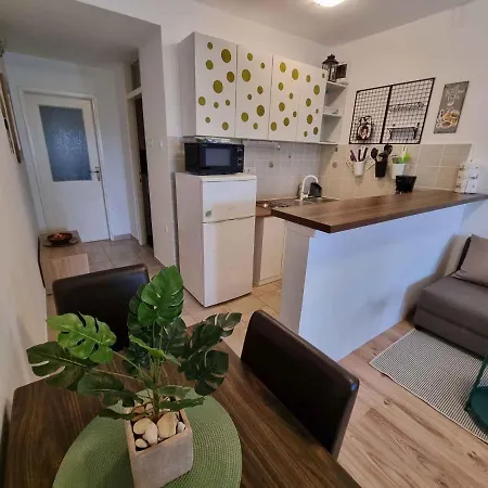 Apartamento In 43511